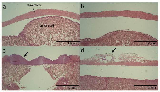 https://cdn.ncbi.nlm.nih.gov/pmc/blobs/776d/9694971/8244c1142e0e/vetsci-09-00601-g006.jpg