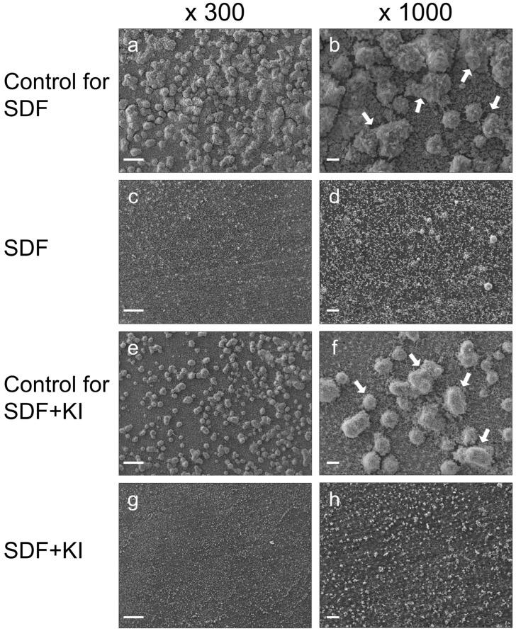https://cdn.ncbi.nlm.nih.gov/pmc/blobs/776e/11350696/232b624c3824/antibiotics-13-00743-g001.jpg