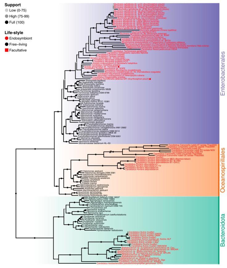 https://cdn.ncbi.nlm.nih.gov/pmc/blobs/776e/12024623/b170a5c14cd3/biology-14-00338-g001.jpg