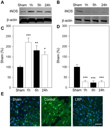 https://cdn.ncbi.nlm.nih.gov/pmc/blobs/776f/3275571/3cae120b1330/pone.0030892.g007.jpg