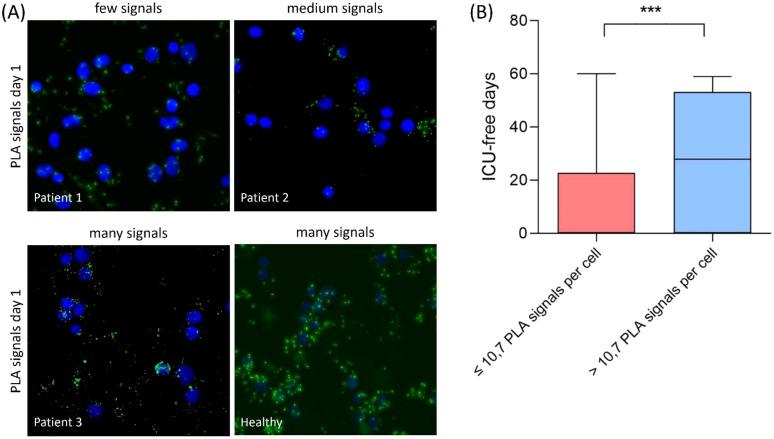 https://cdn.ncbi.nlm.nih.gov/pmc/blobs/7771/12128609/6f1262ded7ba/fimmu-16-1445403-g003.jpg