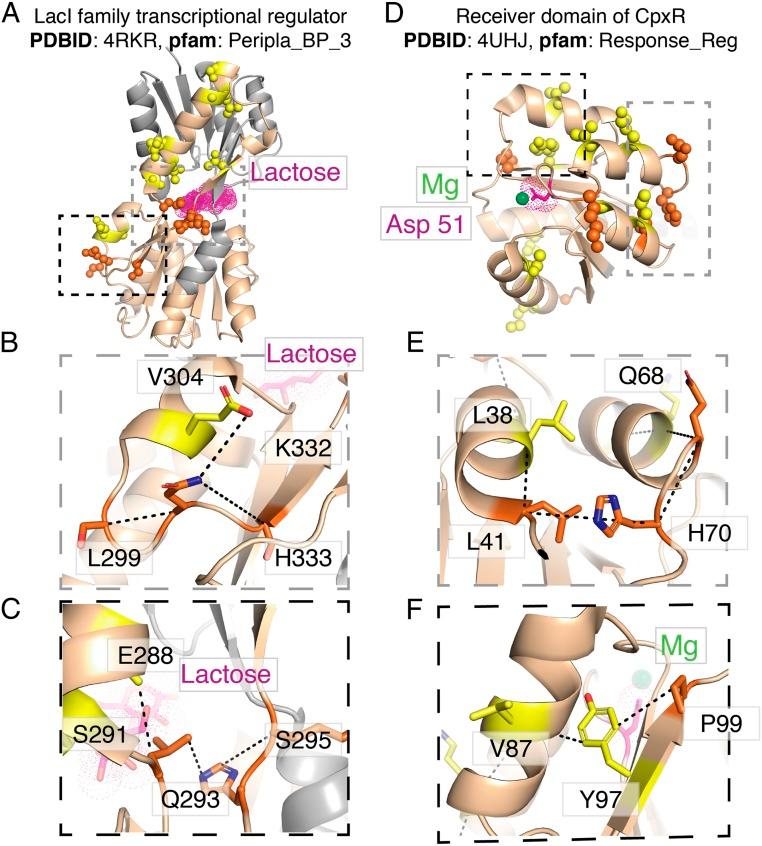 https://cdn.ncbi.nlm.nih.gov/pmc/blobs/7771/7084075/7df10c5560ec/pnas.1913071117fig05.jpg