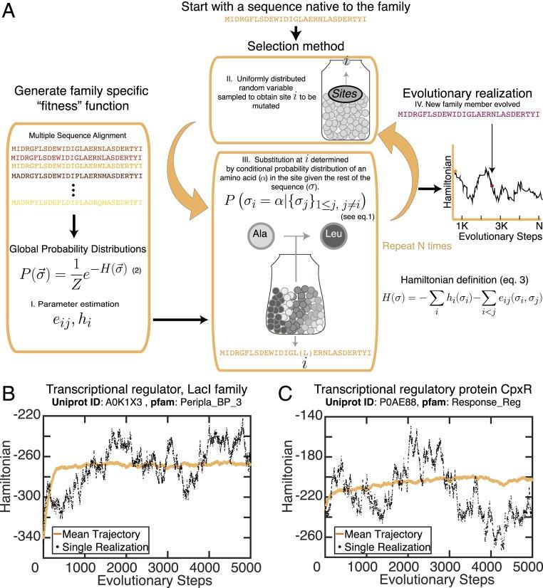 https://cdn.ncbi.nlm.nih.gov/pmc/blobs/7771/7084075/fa5f40c66d90/pnas.1913071117fig01.jpg