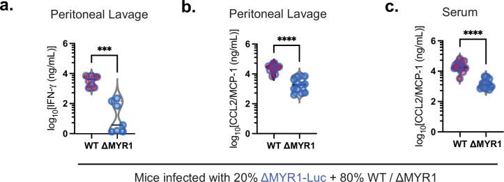 https://cdn.ncbi.nlm.nih.gov/pmc/blobs/7772/11630813/9a4fd82ffd2d/elife-102592-fig3-figsupp1.jpg