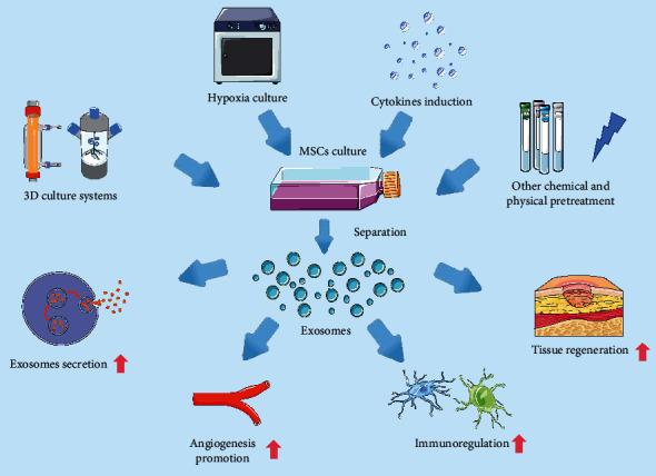 https://cdn.ncbi.nlm.nih.gov/pmc/blobs/7774/9124131/5350144d34f2/SCI2022-1779346.002.jpg