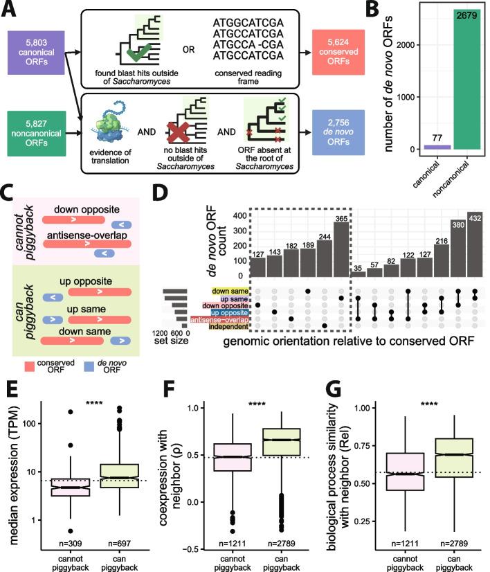 https://cdn.ncbi.nlm.nih.gov/pmc/blobs/7775/11232214/a04420e20a03/13059_2024_3287_Fig4_HTML.jpg