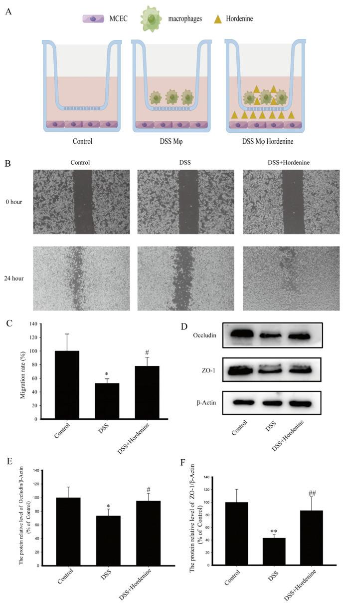 https://cdn.ncbi.nlm.nih.gov/pmc/blobs/7776/10054341/2a706b9e1ec6/molecules-28-02834-g004.jpg