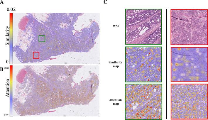 https://cdn.ncbi.nlm.nih.gov/pmc/blobs/7776/10766034/2da293a68dbb/CJP2-10-e344-g003.jpg