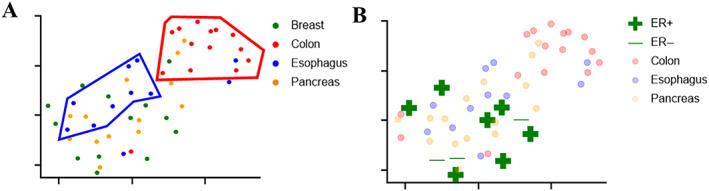 https://cdn.ncbi.nlm.nih.gov/pmc/blobs/7776/10766034/6e45a2eb4c22/CJP2-10-e344-g001.jpg