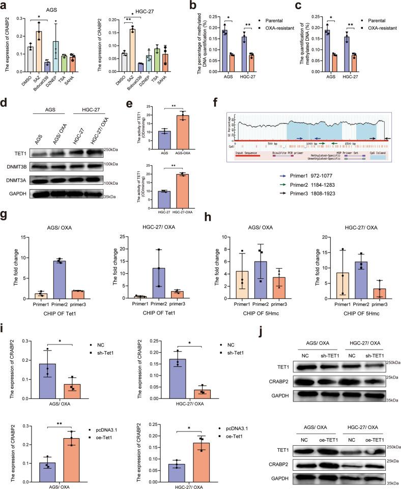 https://cdn.ncbi.nlm.nih.gov/pmc/blobs/7778/9532395/114c0d238986/41419_2022_5299_Fig6_HTML.jpg
