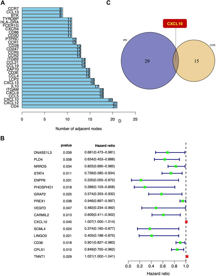 https://cdn.ncbi.nlm.nih.gov/pmc/blobs/7779/7930611/2f2b27904257/fmolb-08-611508-g005.jpg
