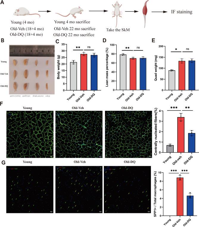https://cdn.ncbi.nlm.nih.gov/pmc/blobs/777b/11300837/1810087c799a/41598_2024_69284_Fig8_HTML.jpg