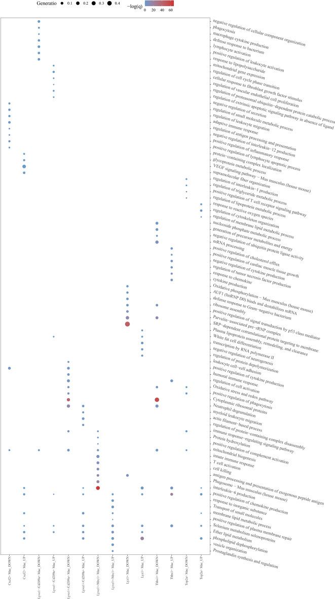https://cdn.ncbi.nlm.nih.gov/pmc/blobs/777b/11300837/3c3e39f27314/41598_2024_69284_Fig3_HTML.jpg