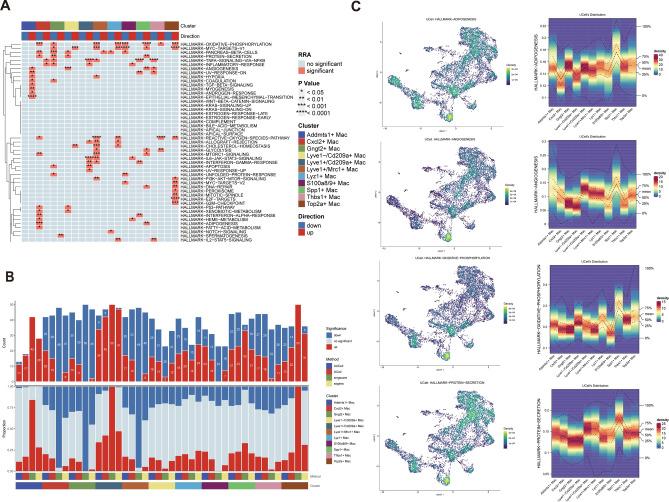 https://cdn.ncbi.nlm.nih.gov/pmc/blobs/777b/11300837/47eec7c71c52/41598_2024_69284_Fig4_HTML.jpg