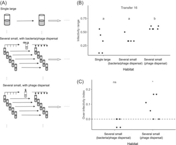 https://cdn.ncbi.nlm.nih.gov/pmc/blobs/777b/12042113/2d2192935899/MLF2-4-223-g001.jpg