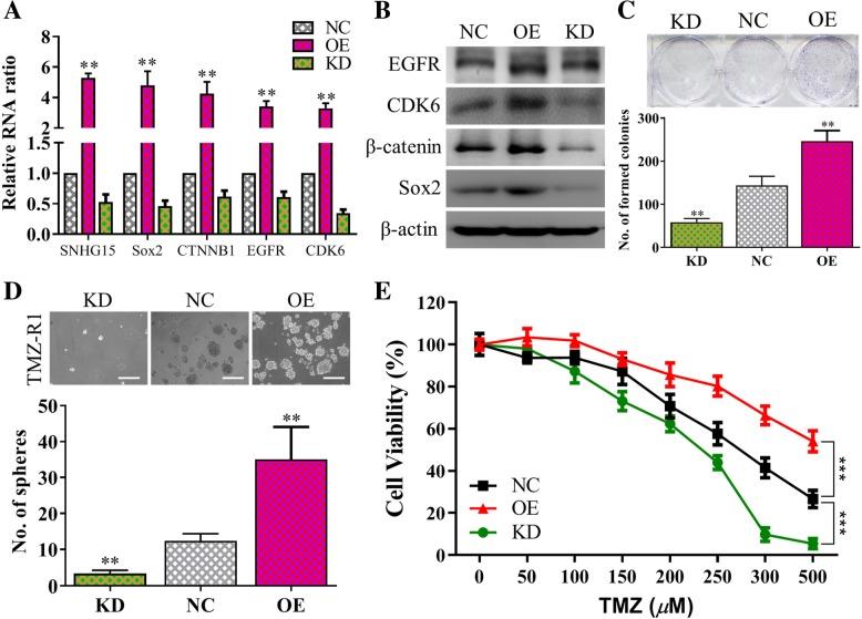 https://cdn.ncbi.nlm.nih.gov/pmc/blobs/777d/6714301/0c572d8ce383/13046_2019_1371_Fig4_HTML.jpg