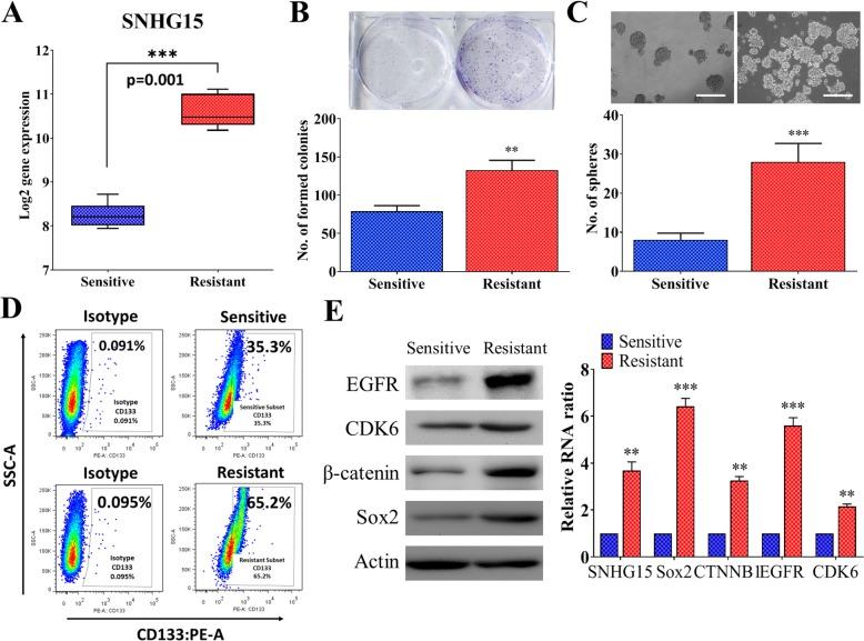 https://cdn.ncbi.nlm.nih.gov/pmc/blobs/777d/6714301/74a956a2d3ea/13046_2019_1371_Fig2_HTML.jpg