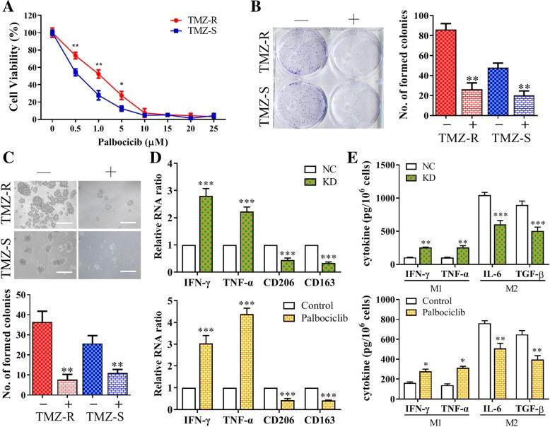 https://cdn.ncbi.nlm.nih.gov/pmc/blobs/777d/6714301/d8e7944b6e43/13046_2019_1371_Fig5_HTML.jpg