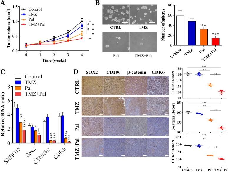 https://cdn.ncbi.nlm.nih.gov/pmc/blobs/777d/6714301/f956c40a2b6a/13046_2019_1371_Fig7_HTML.jpg