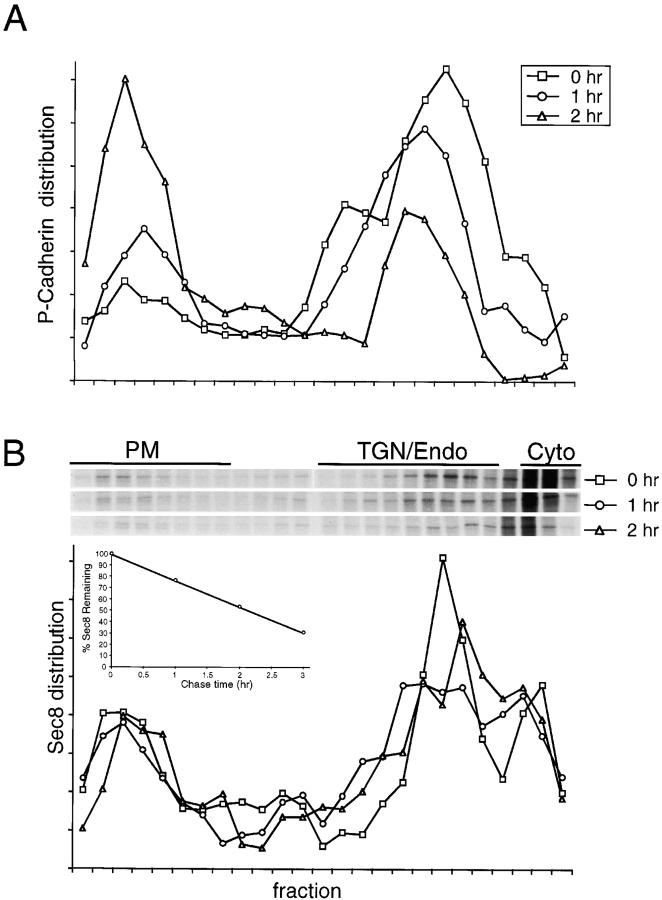 https://cdn.ncbi.nlm.nih.gov/pmc/blobs/7781/2198873/8f5e82fbef50/0107088f7.jpg