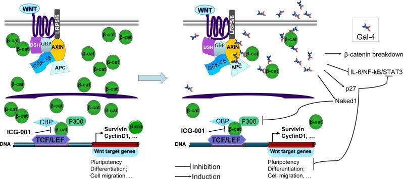 https://cdn.ncbi.nlm.nih.gov/pmc/blobs/7782/4170638/b9e4052793e9/oncotarget-05-5335-g006.jpg