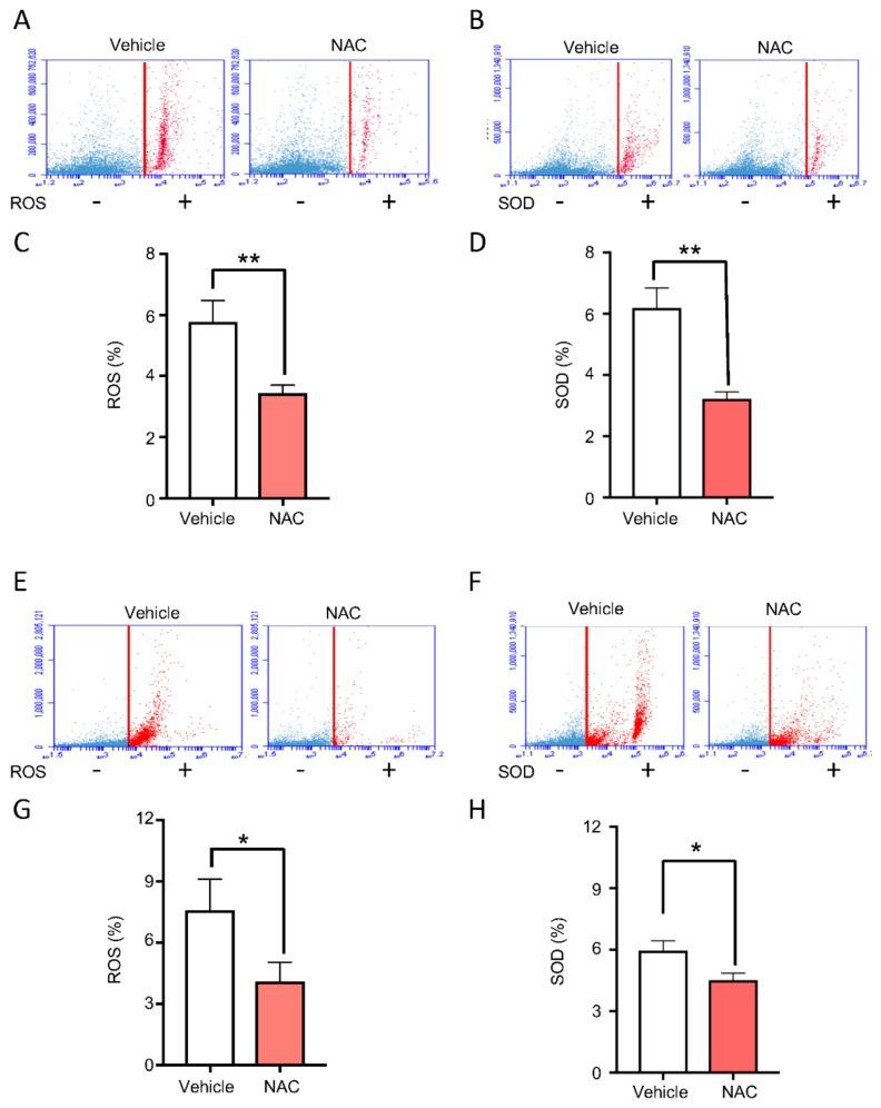 https://cdn.ncbi.nlm.nih.gov/pmc/blobs/7783/7038047/eb6271acfeb5/ijms-21-00901-g003.jpg