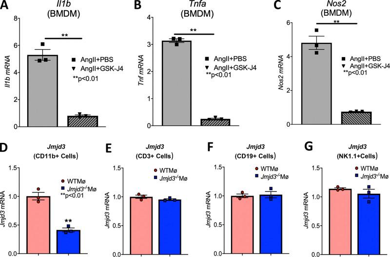 https://cdn.ncbi.nlm.nih.gov/pmc/blobs/7784/8008365/f08e3c35263c/JEM_20201839_FigS5.jpg