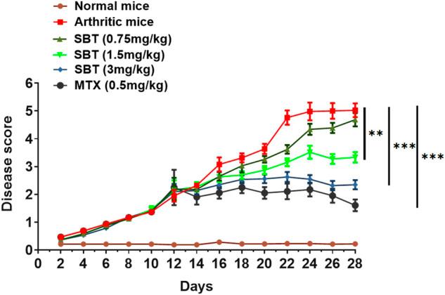 https://cdn.ncbi.nlm.nih.gov/pmc/blobs/7785/9519065/436842983bab/fphar-13-996321-g002.jpg