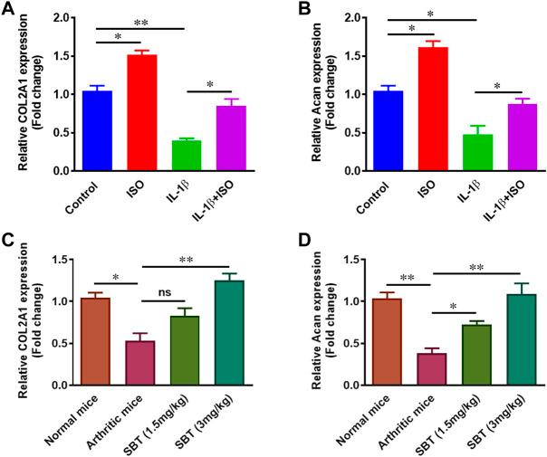 https://cdn.ncbi.nlm.nih.gov/pmc/blobs/7785/9519065/54b7fd0cf526/fphar-13-996321-g009.jpg