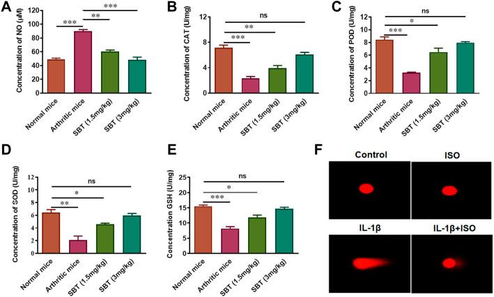 https://cdn.ncbi.nlm.nih.gov/pmc/blobs/7785/9519065/8329371bdf03/fphar-13-996321-g005.jpg