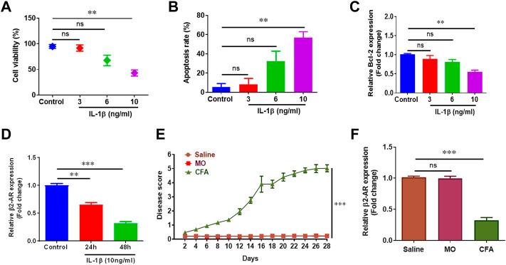 https://cdn.ncbi.nlm.nih.gov/pmc/blobs/7785/9519065/edfac45b0b7b/fphar-13-996321-g001.jpg