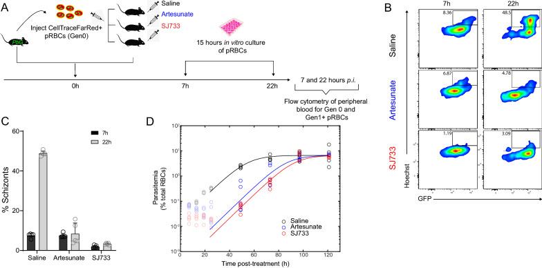 https://cdn.ncbi.nlm.nih.gov/pmc/blobs/7787/8848794/3f0b733b5d4a/12936_2022_4075_Fig4_HTML.jpg