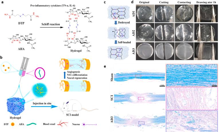 https://cdn.ncbi.nlm.nih.gov/pmc/blobs/7788/10050787/2bd958395835/gr10.jpg