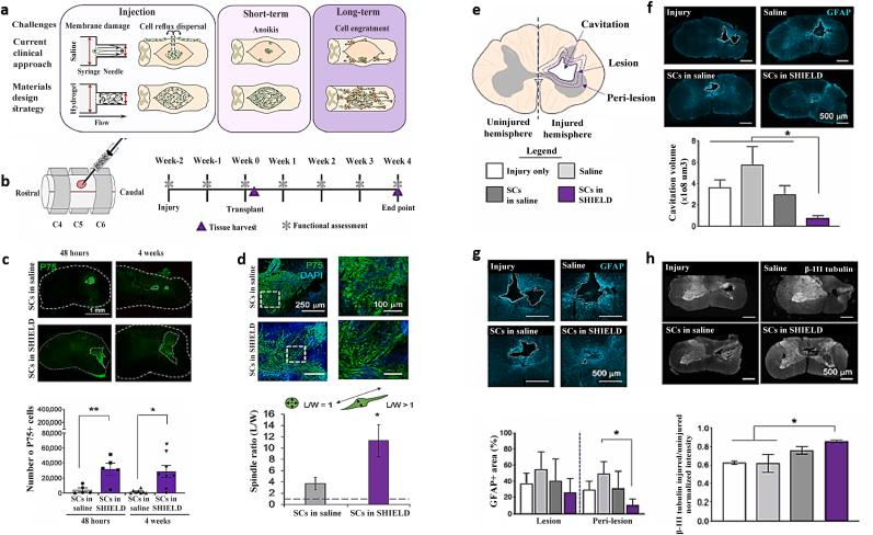 https://cdn.ncbi.nlm.nih.gov/pmc/blobs/7788/10050787/5a4b8ca239c7/gr9.jpg