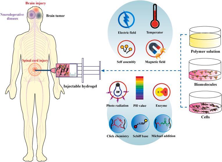 https://cdn.ncbi.nlm.nih.gov/pmc/blobs/7788/10050787/5dfeff78f813/gr3.jpg