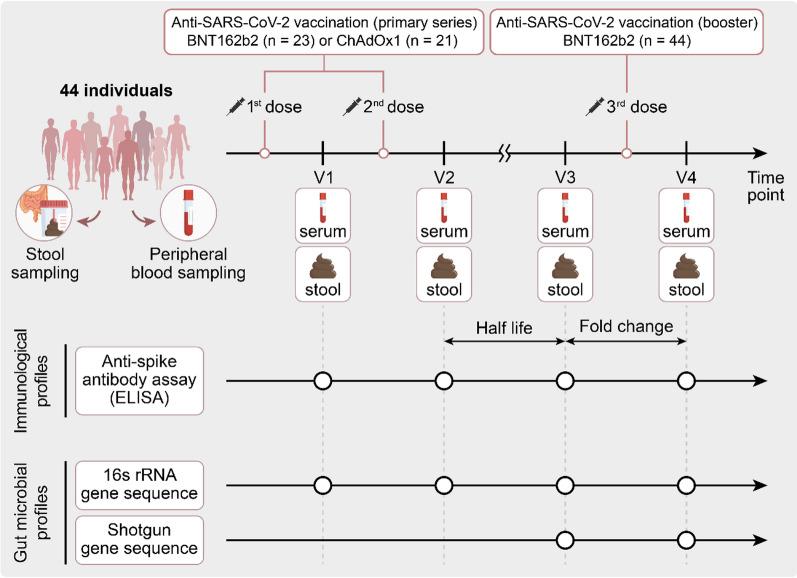 https://cdn.ncbi.nlm.nih.gov/pmc/blobs/7789/11380214/cac456b9f1e0/12967_2024_5637_Fig1_HTML.jpg