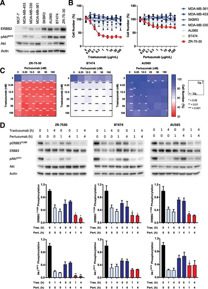 https://cdn.ncbi.nlm.nih.gov/pmc/blobs/7789/6429830/30134073689e/13058_2019_1127_Fig1_HTML.jpg