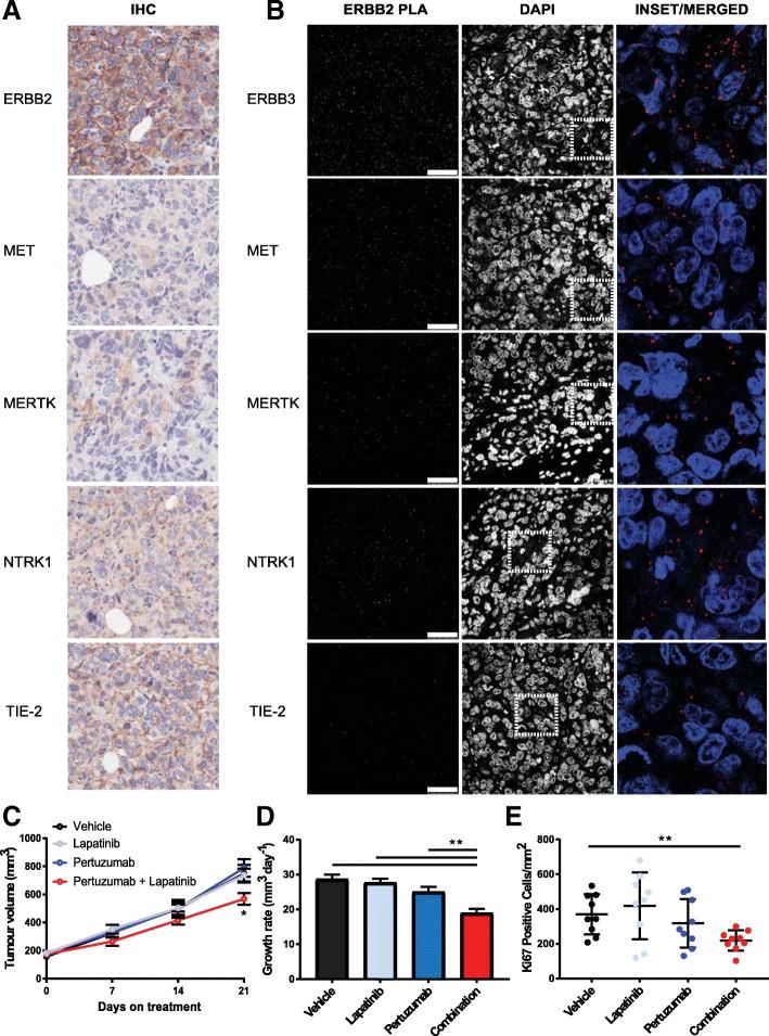 https://cdn.ncbi.nlm.nih.gov/pmc/blobs/7789/6429830/323e22067e59/13058_2019_1127_Fig7_HTML.jpg