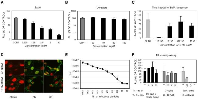 https://cdn.ncbi.nlm.nih.gov/pmc/blobs/778a/3068995/cd5c199bfbe0/ppat.1001329.g001.jpg