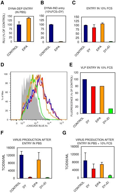 https://cdn.ncbi.nlm.nih.gov/pmc/blobs/778a/3068995/fd0c7982ea6b/ppat.1001329.g007.jpg