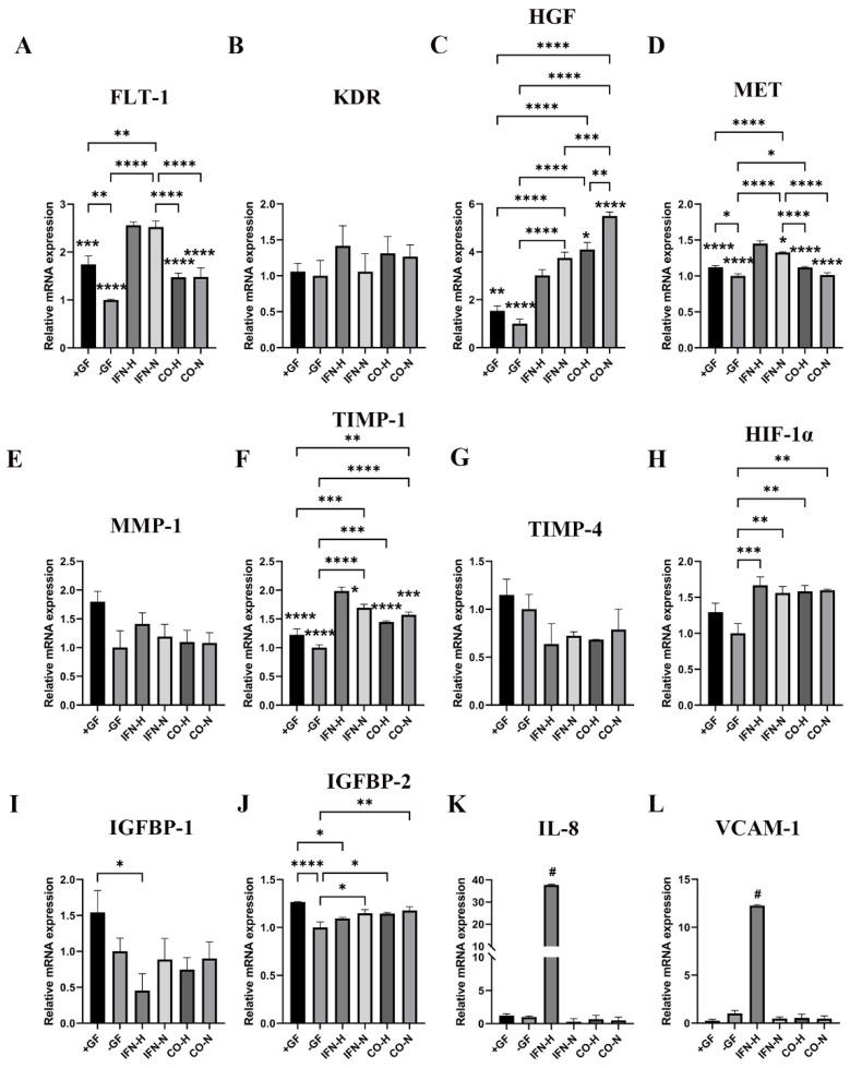 https://cdn.ncbi.nlm.nih.gov/pmc/blobs/778b/8946902/194c8ed7ac68/cells-11-00988-g007.jpg