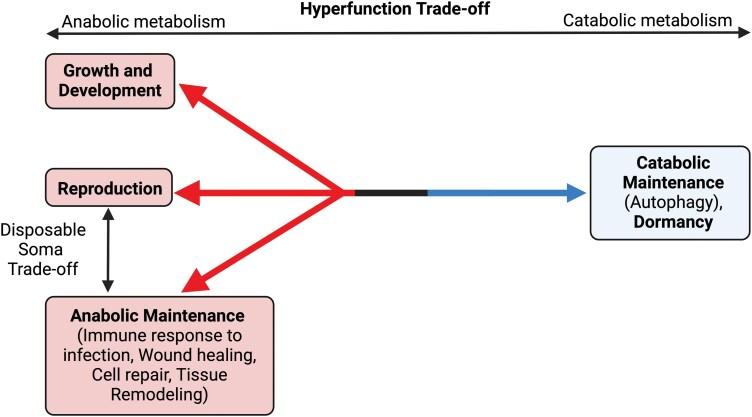 https://cdn.ncbi.nlm.nih.gov/pmc/blobs/778f/12202095/34eaf3084394/eoaf010_fig2.jpg