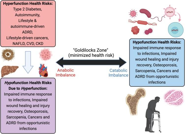 https://cdn.ncbi.nlm.nih.gov/pmc/blobs/778f/12202095/4ad7b6008786/eoaf010_fig5.jpg
