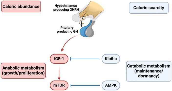 https://cdn.ncbi.nlm.nih.gov/pmc/blobs/778f/12202095/64ad7f6b685b/eoaf010_fig1.jpg