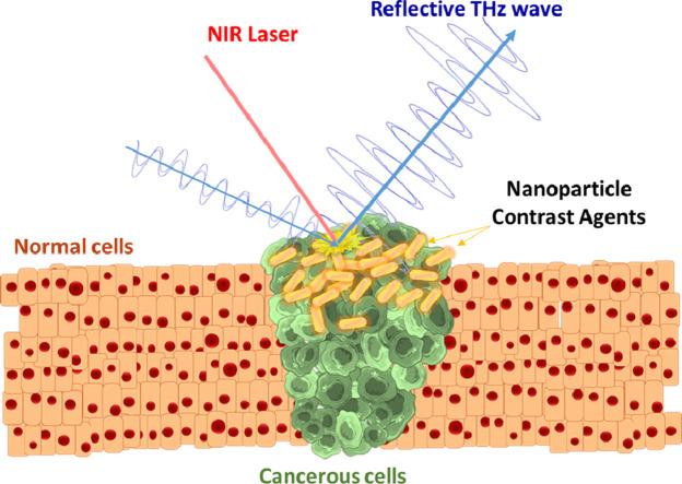 https://cdn.ncbi.nlm.nih.gov/pmc/blobs/7790/9643578/e8d43872502a/ga1.jpg