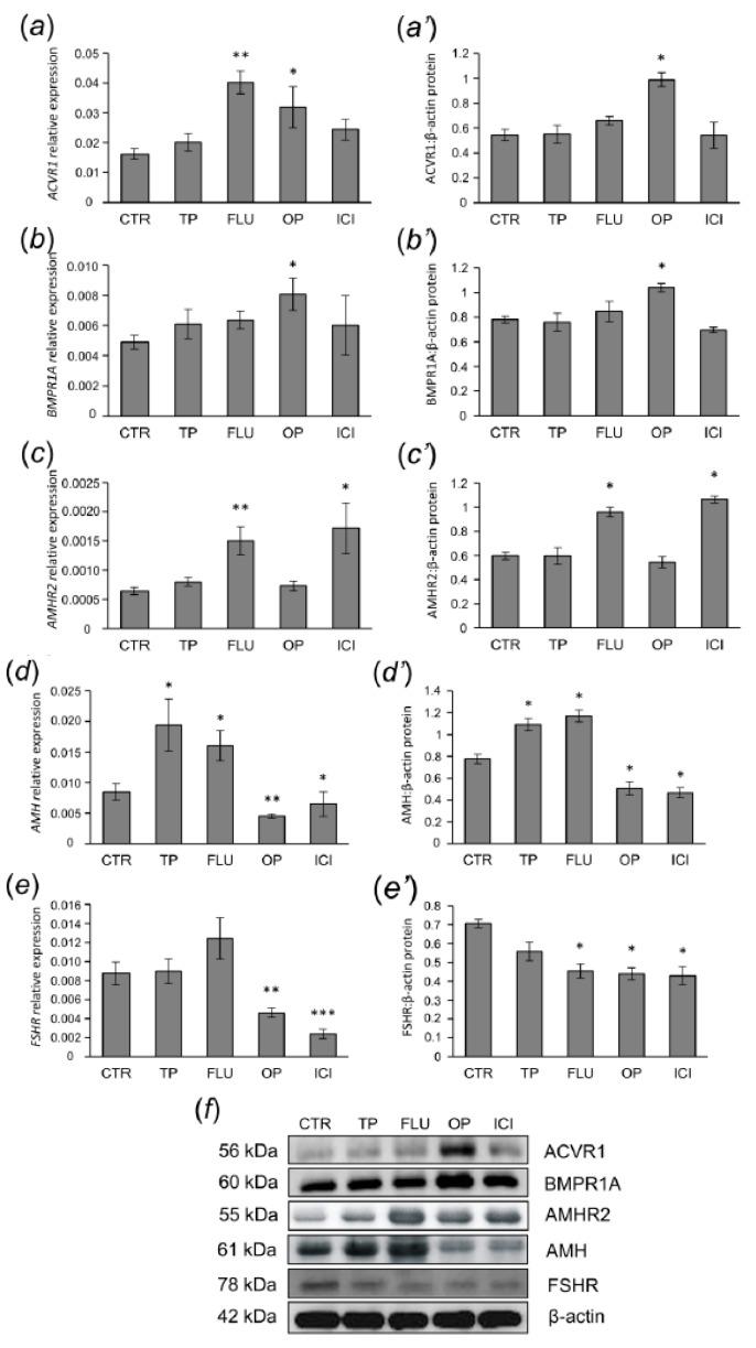 https://cdn.ncbi.nlm.nih.gov/pmc/blobs/7791/7022616/4e084d9179d8/animals-10-00012-g003.jpg