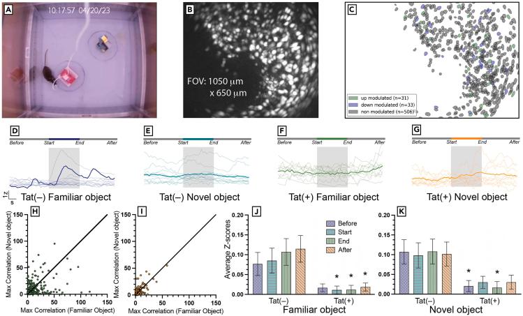 https://cdn.ncbi.nlm.nih.gov/pmc/blobs/7792/12305568/d31709939cbc/gr6.jpg