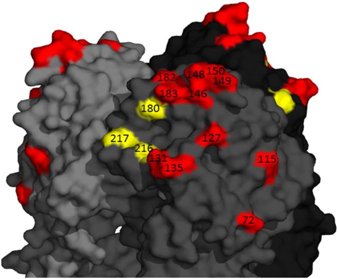 https://cdn.ncbi.nlm.nih.gov/pmc/blobs/7794/5036934/1acd9f7f5288/gr4.jpg