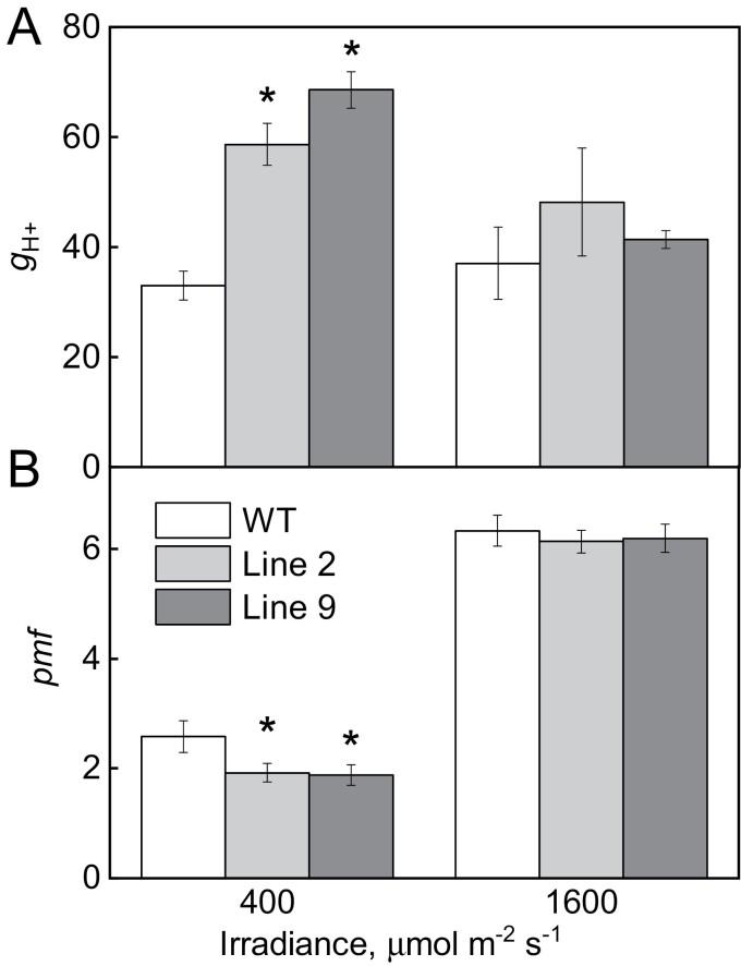 https://cdn.ncbi.nlm.nih.gov/pmc/blobs/7794/9629782/56ed15946cfc/erac320f0003.jpg