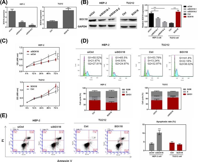 https://cdn.ncbi.nlm.nih.gov/pmc/blobs/7795/6609596/759f1d57d799/bsr-39-bsr20182480-g2.jpg